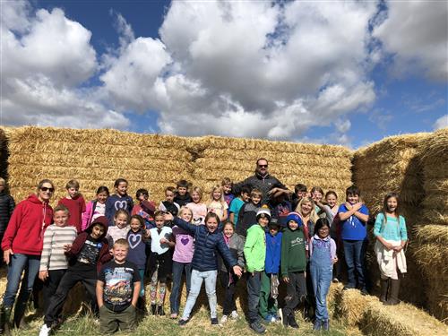 Hay maze 