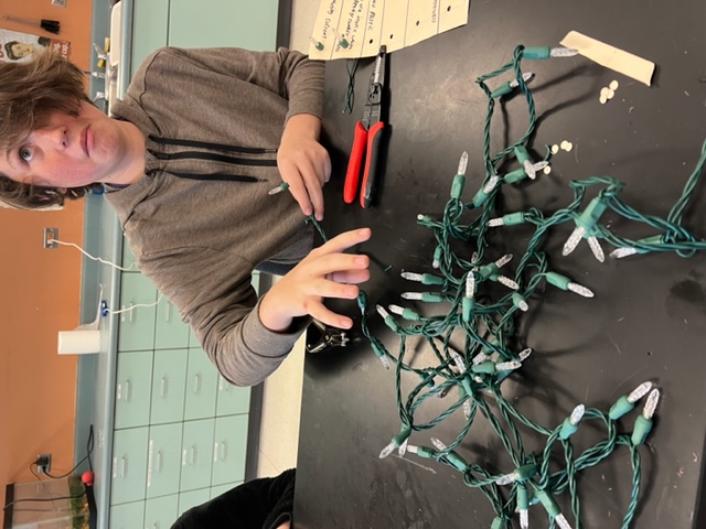  Students are learning about electricity in Science class