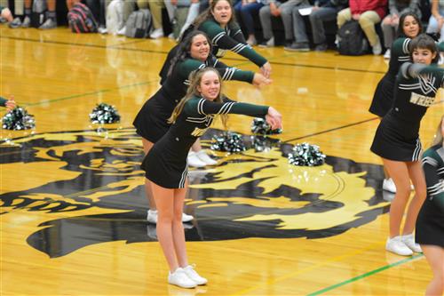 wood river hs