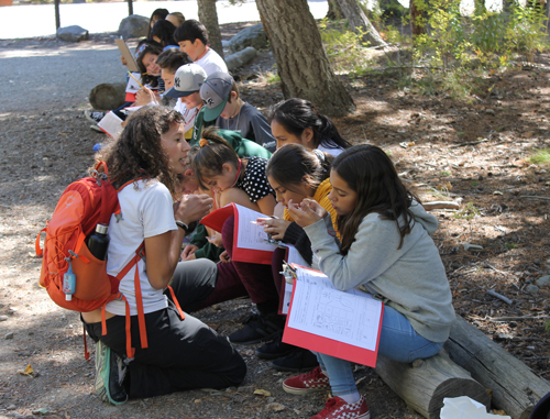 ROES Students studying our environment 