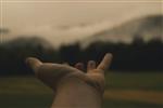 Hand 